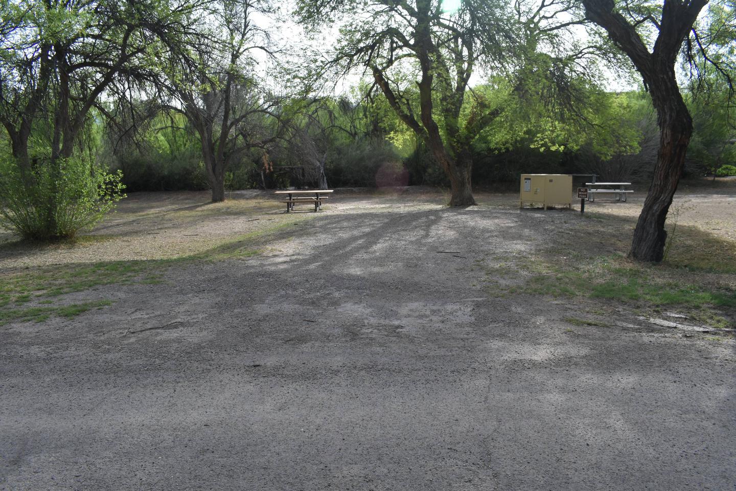 Distant view of parking area and camp site with shade treesSite 88