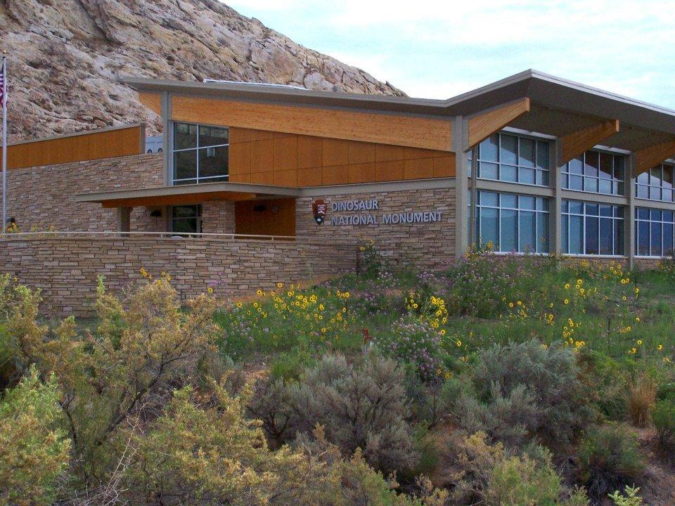 Wildflowers at the Quarry Visitor Center