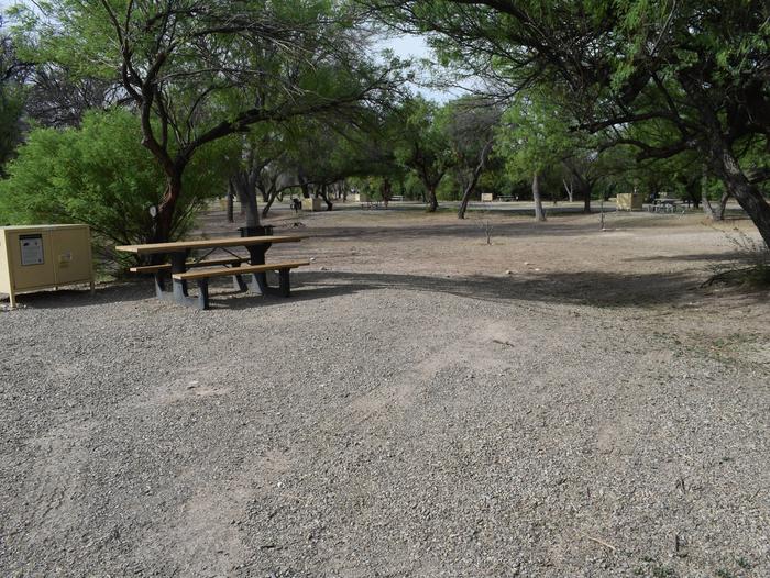 Rio Grande Village #100Campsite shaded by Cottonwood trees site 100