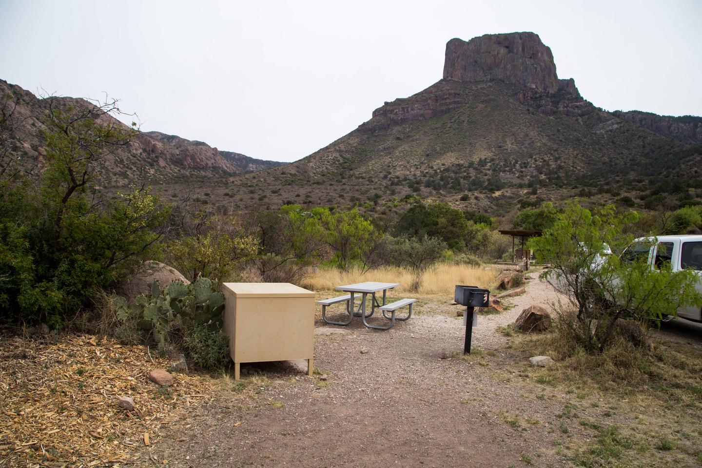 Chisos Basin Campsite #20 tent padTent pad with bear box, picnic table, and grill