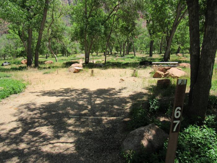 View of campsiteSite 67