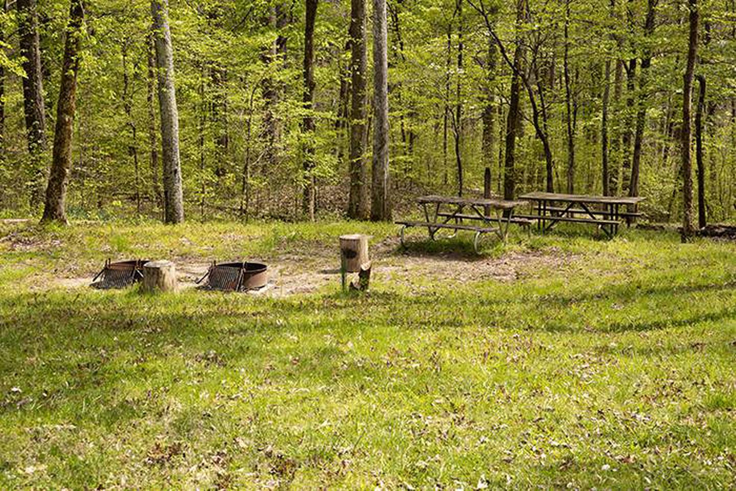 Maple Spring Site 4.Equestrian/Group/RV/Tent site with water and electric.