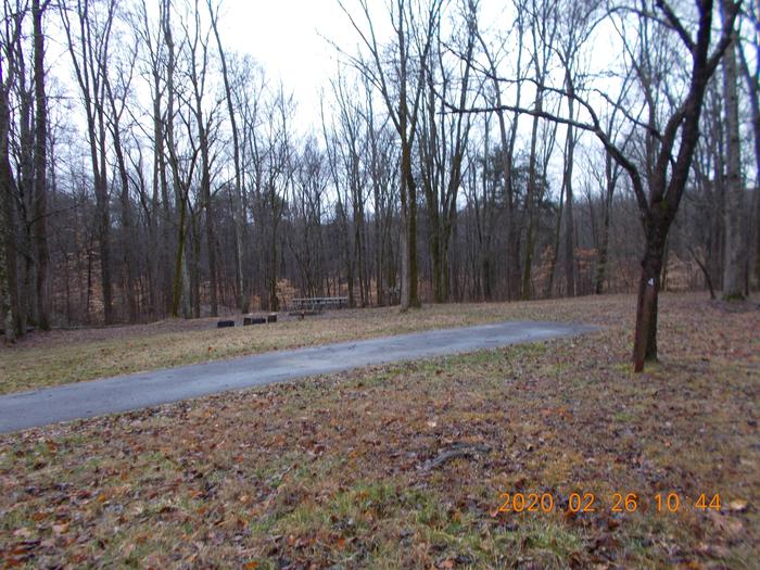Maple Spring Site 4..Equestrian/Group/RV/Tent site with water and electric
