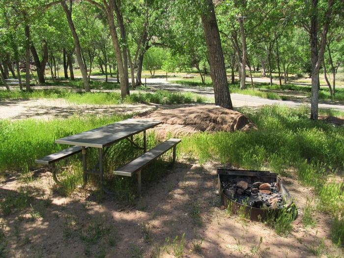 View of campsite Site 107