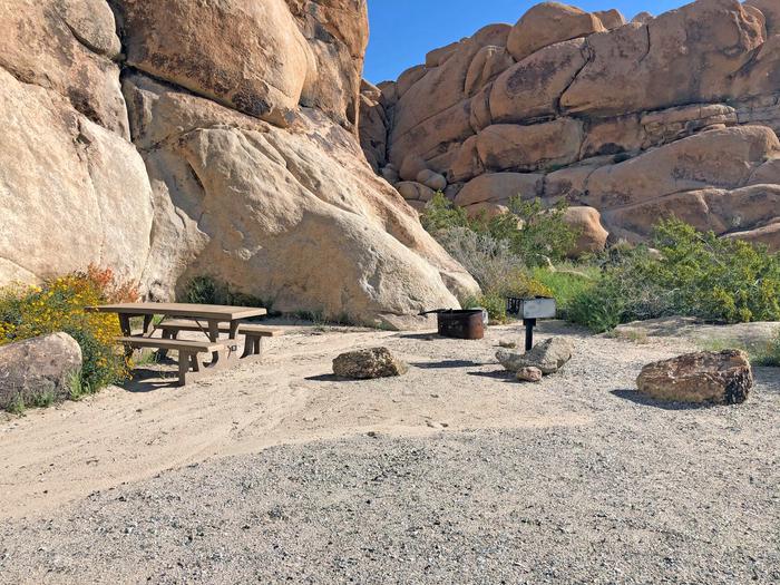 Campsite  with picnic table surrounded by boulders and green plants.
Campsite.
