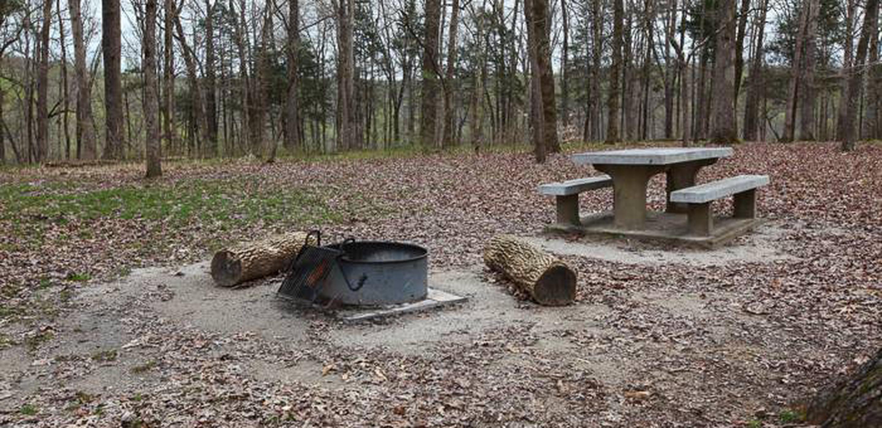 Site 068 Mammoth Cave Campground Recreation Gov   2770 Ac17b638 4289 4290 A570 8a940148d9c3 2880 