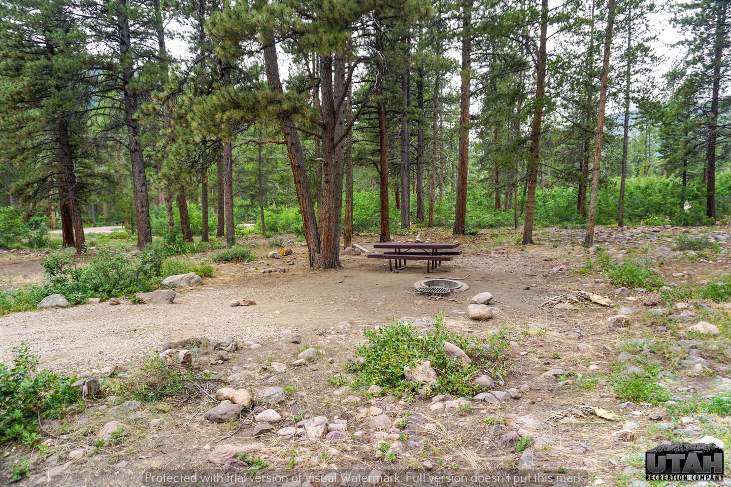 Site 18, Yellow Pine Campground (UT) - Recreation.gov