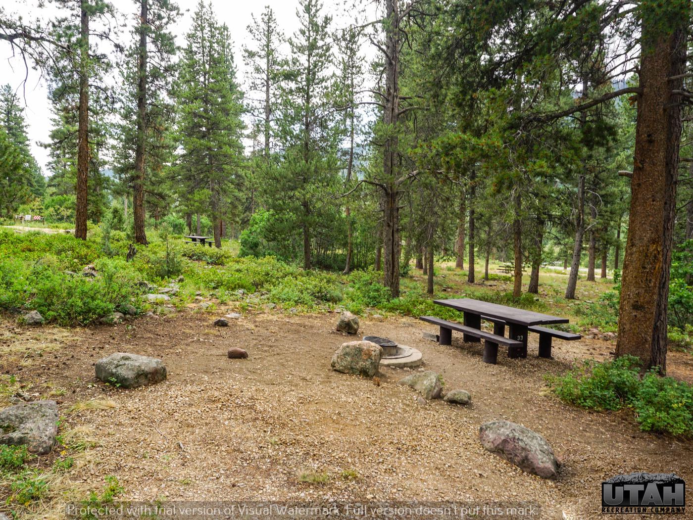Site 33, Yellow Pine Campground (UT) - Recreation.gov