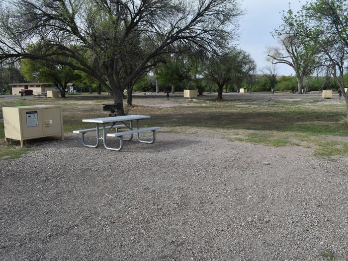Site sits in the shade of the CottonwoodsCamping area for Site 64