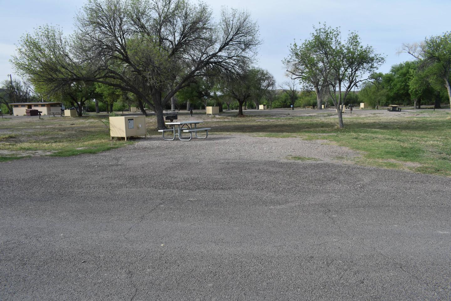 Distant view of parking area and camp site with shade treesParking and camping area for Site 64