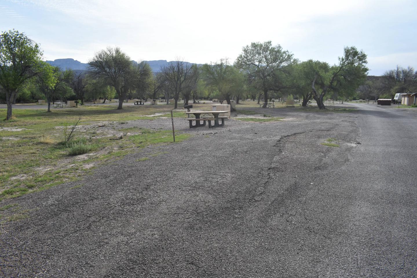 Distant view of pull-thru parking area and camp siteParking and camping area Site 68