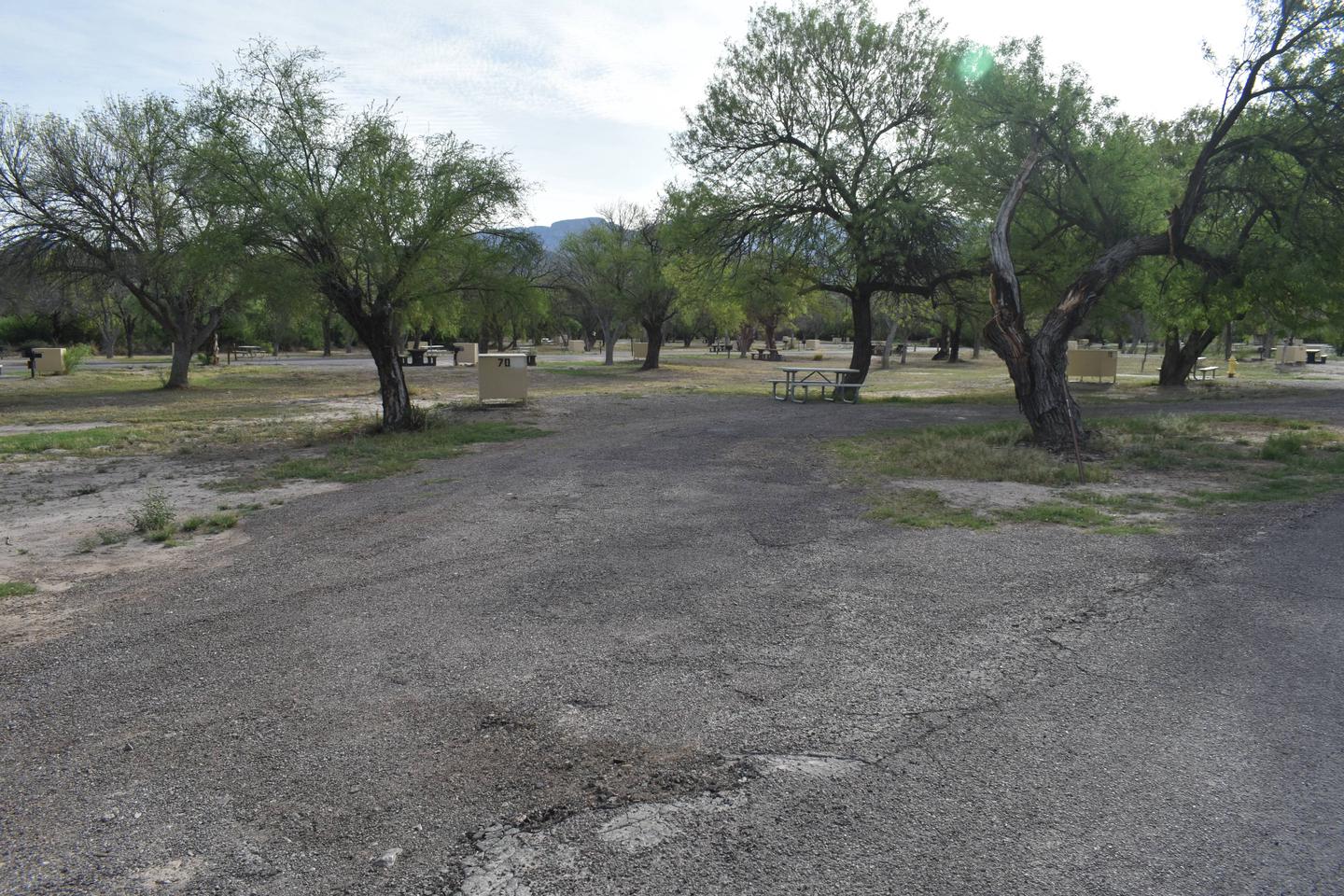 Distant view of parking area and camp site with shade treesParking and camping area Site 70