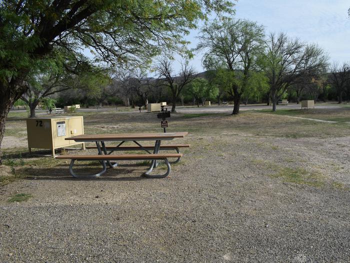 Site sits in the shade of the CottonwoodsCamping area Site 72
