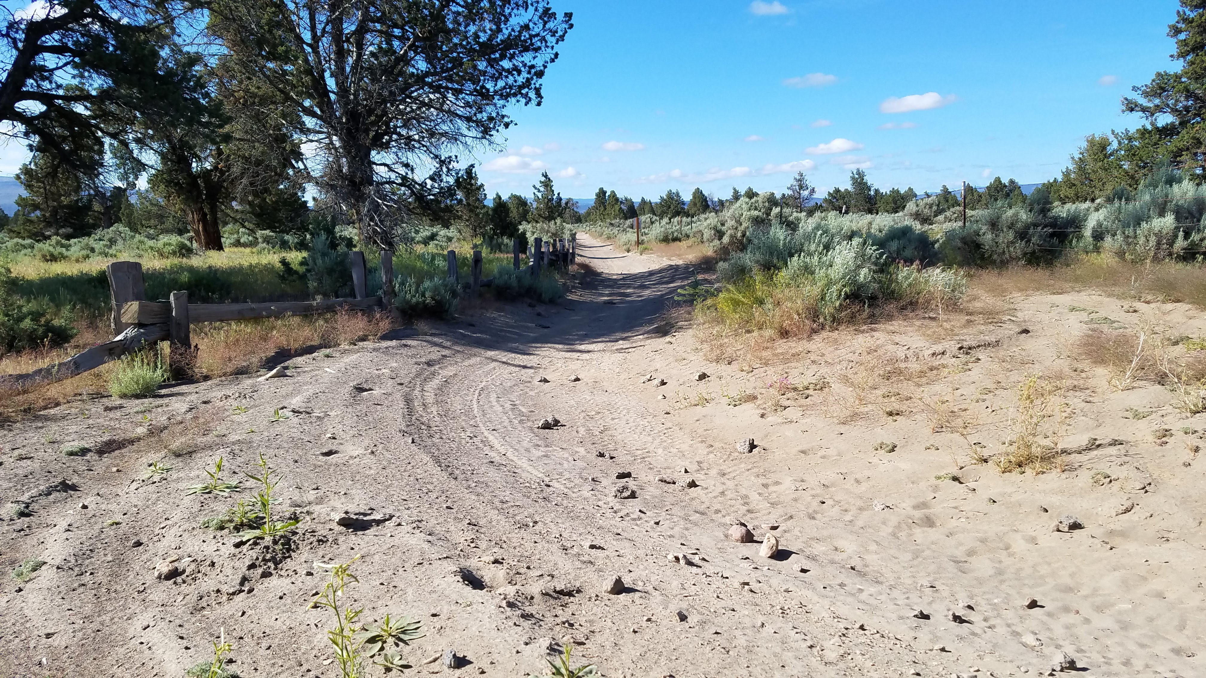 OHV Trail at Alfalfa Curves Staging Area