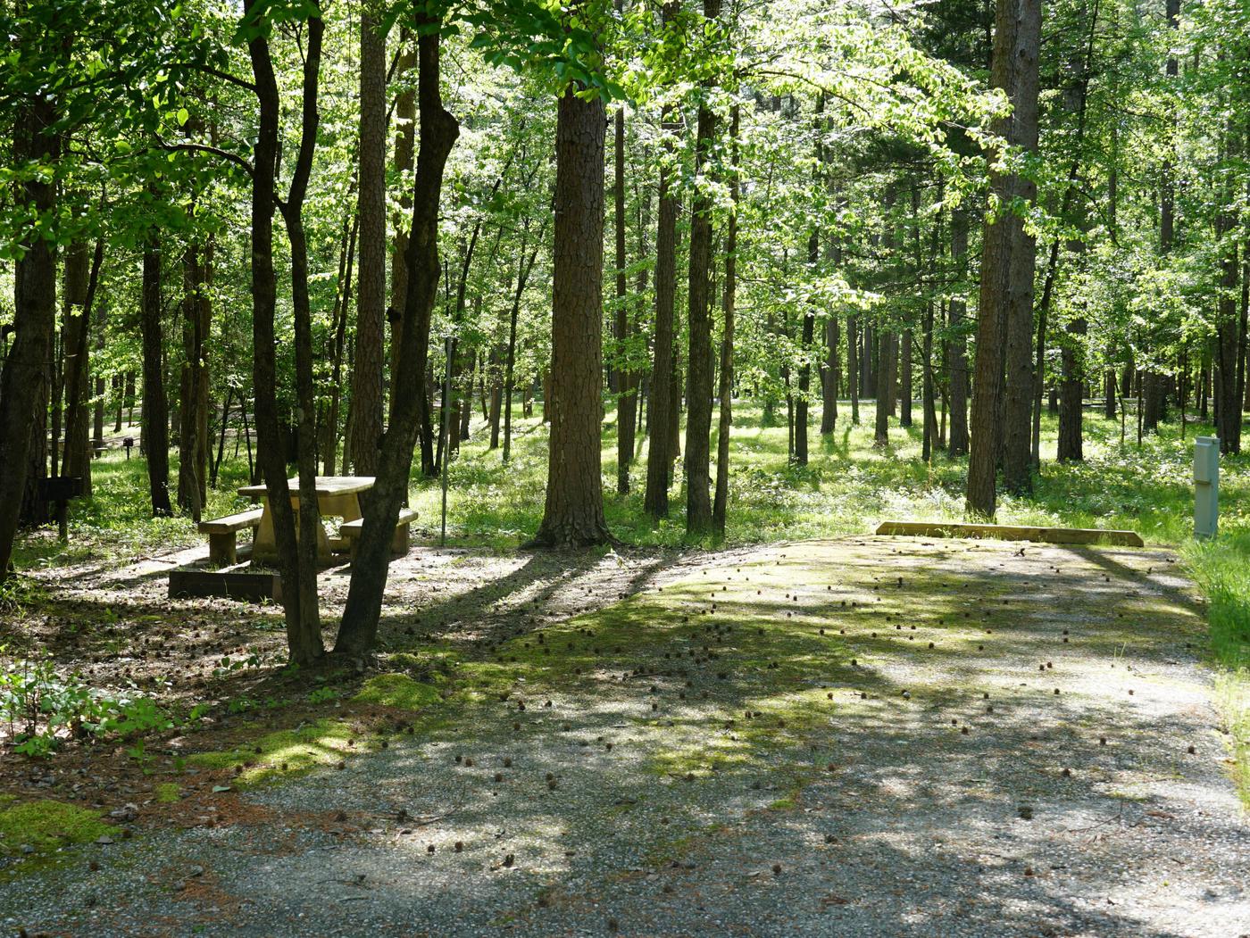 Site 36, Denby Point - Recreation.gov