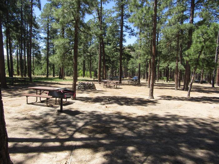 Picnic tables, grill, and fire rings underneath pine treesCampsite A at Ponderosa Group Campground