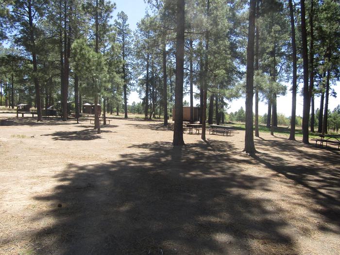 Picnic tables beneath pine trees with a shelter in the backgroundCampsite A in Ponderosa Group Campground contains several picnic tables, grills, rock campfire ring, vault toilets, food lockers, ample space for several tents, and access to a covered cooking shelter.