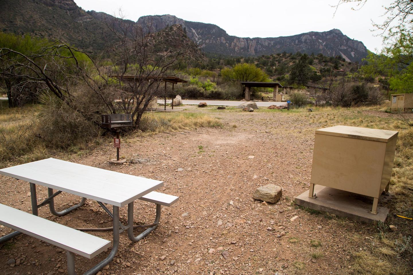 Chisos Basin Campsite #34 oblique viewView showing picnic table, grill, tent pad, and bear box.