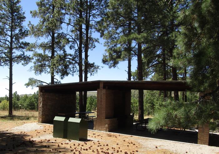 Food lockers in front of a covered cooking shelter surrounded by pine treesCampsite B at Ponderosa Group Campground includes access to a covered cooking shelter with picnic tables, grills, and food lockers.