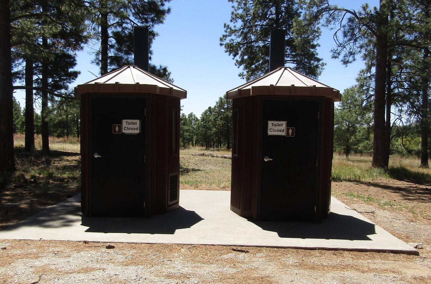 Two vault toilets surrounded by pine treesVault toilets are available in Ponderosa Group Campground. No running water is available in restrooms. No shower facilities in the park. 