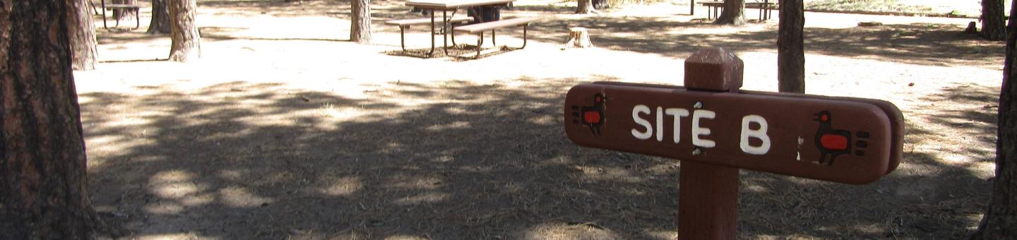 Brown wooden sign with "Site B" engraved on itSign for Campsite B at Ponderosa Group Campground.