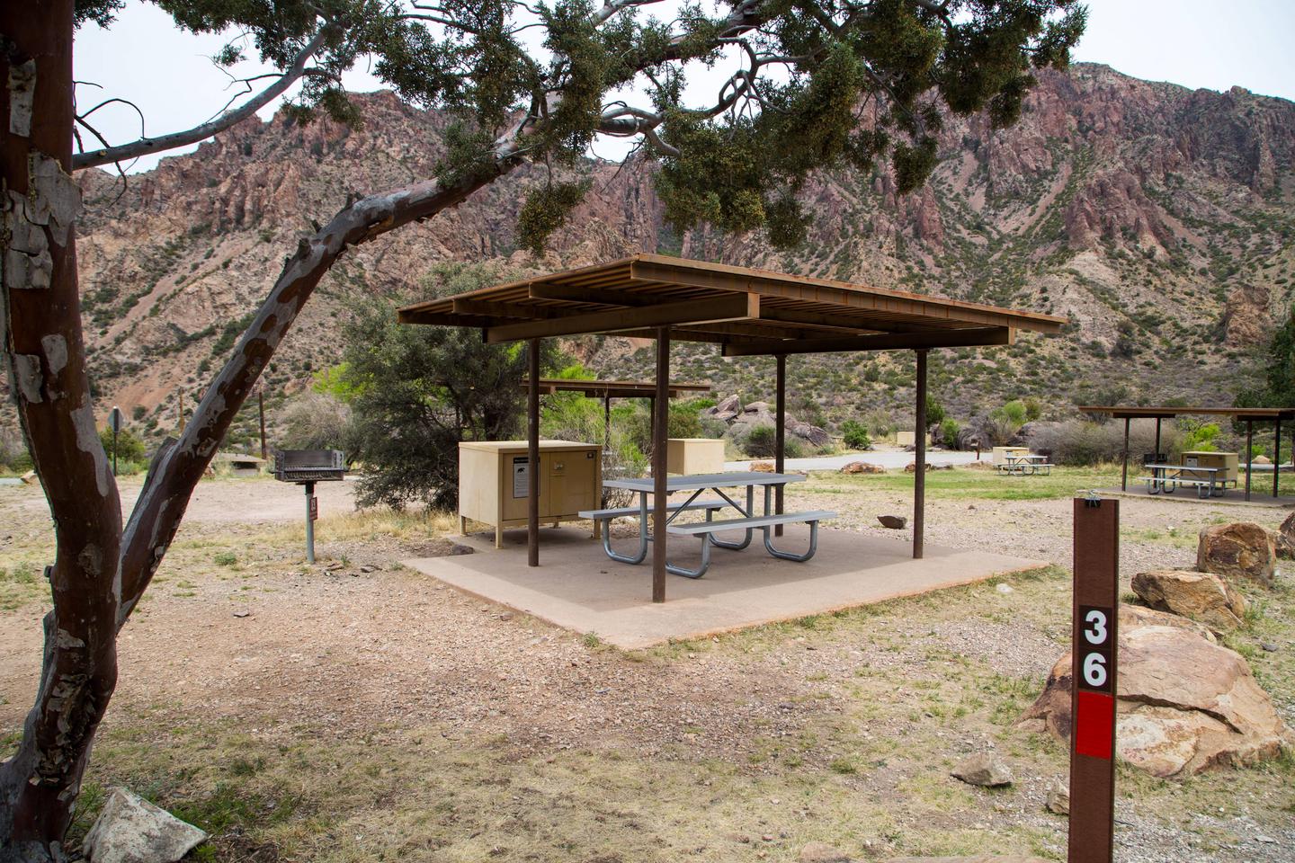 Chisos Basin Campsite #36 shade ramadaView of site showing shade ramada with grill, bear box, and picnic table.