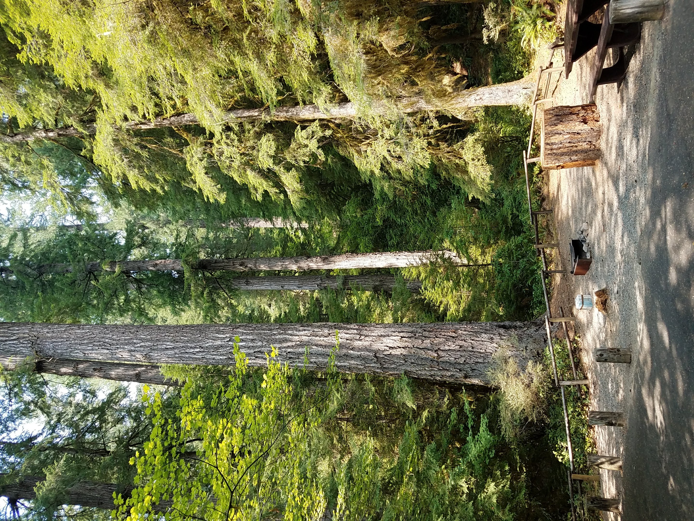 Yellowbottom Recreation Site