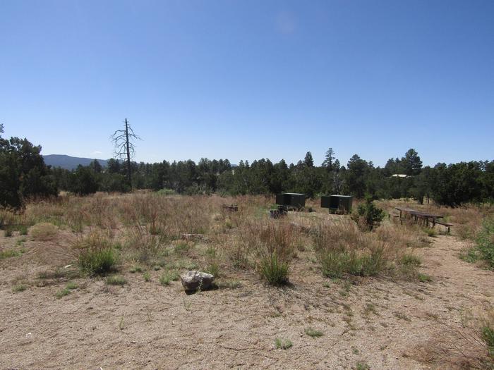 Clearing with picnic tables and food lockers.Food lockers, picnic tables, grills, campfire ring, and ample space for multiple tents are provided in group campsite 005. Restrooms with running water and drinking water are nearby.