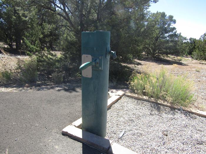 Green water pump in front of juniper.Water (potable) is available in Juniper Family Campground.