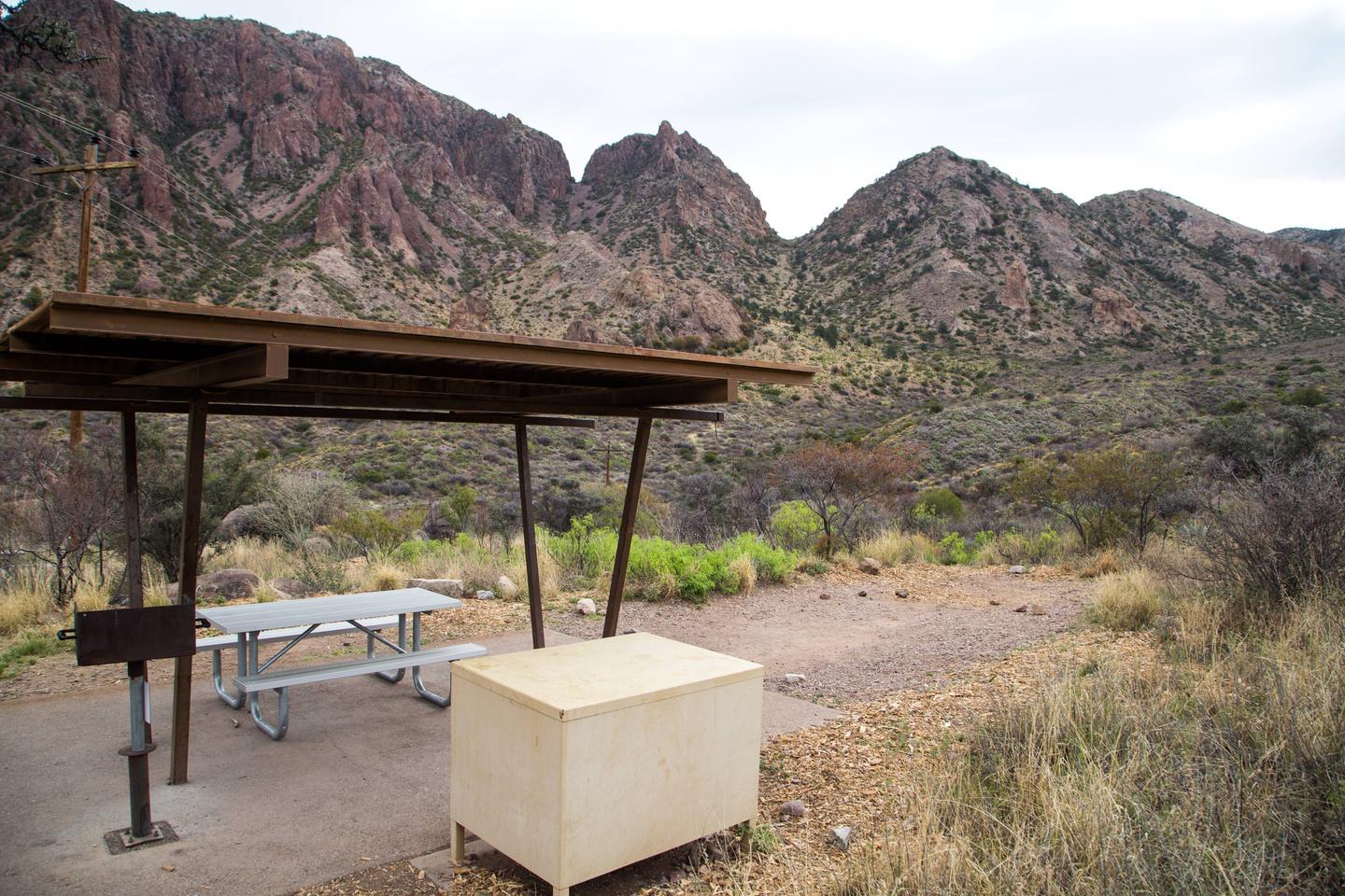 Chisos Basin Campsite #40 reverse viewView showing shade ramada with grill, picnic table, bear box, and tent pad.