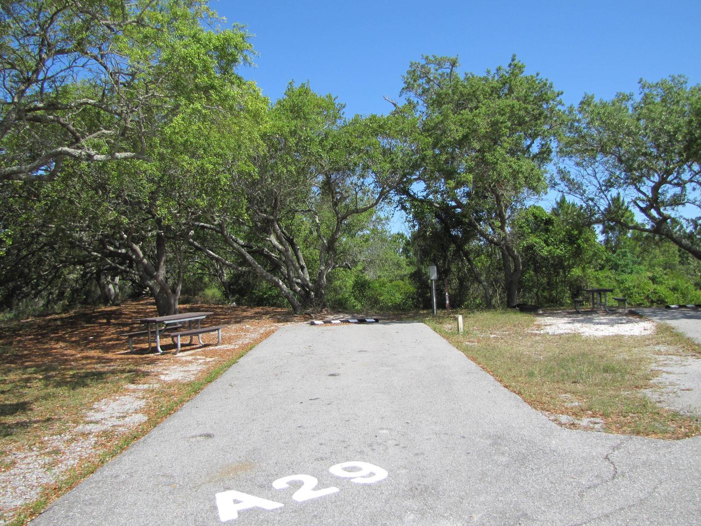 Site A029, Fort Pickens Campground - Recreation.gov