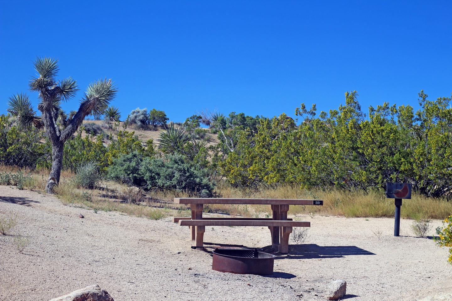 Campsite  with picnic table surrounded by boulders and green plants.