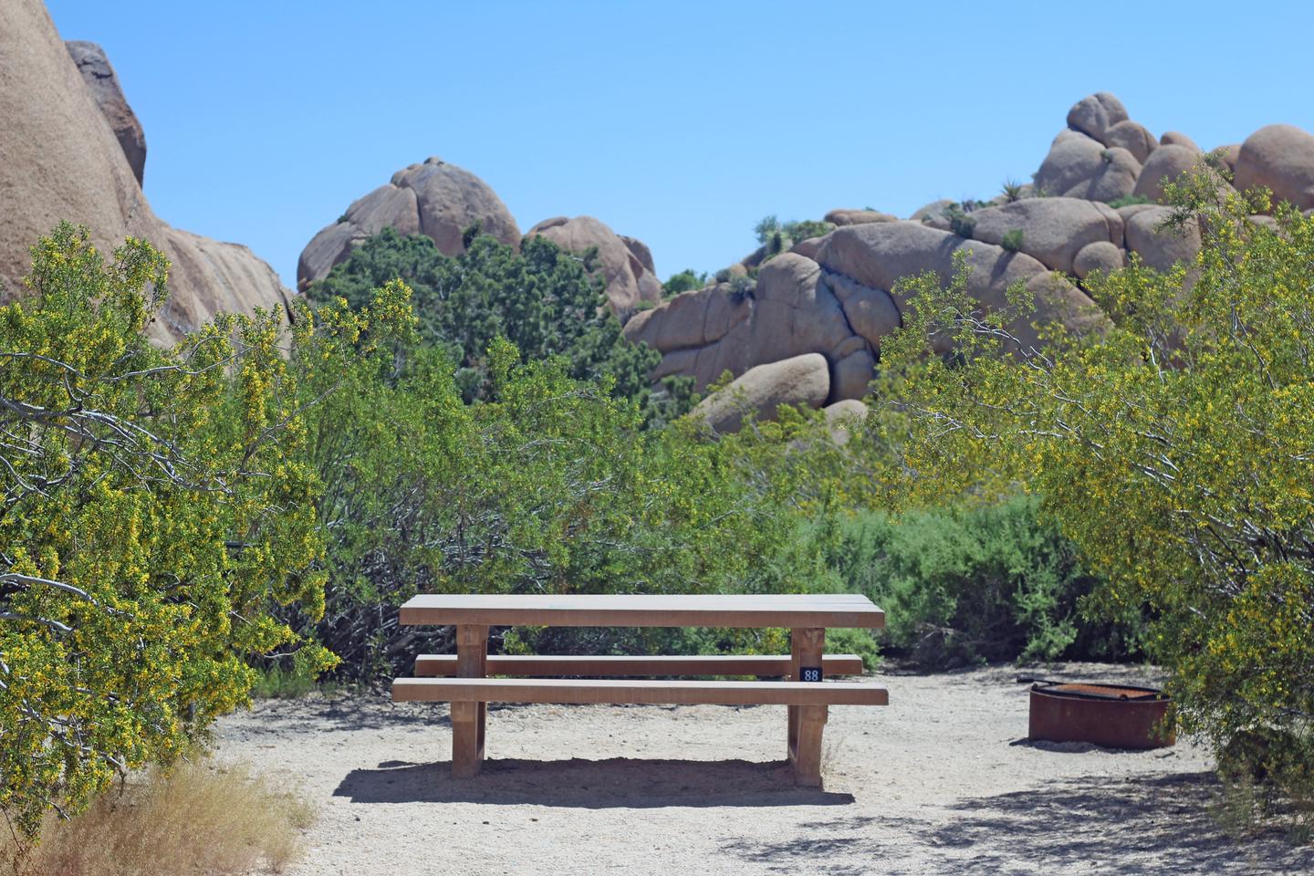 Campsite with picnic table surrounded by boulders and green plants.Campsite.