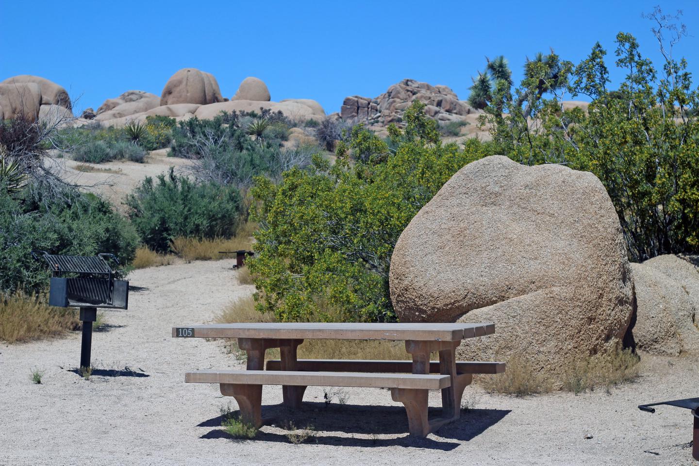 Campsite with picnic table surrounded by boulders and green plants.
Campsite.

