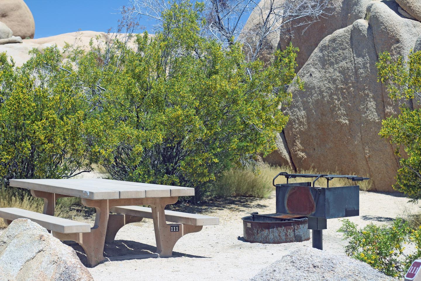 Campsite with picnic table surrounded by boulders and green plants.Campsite.