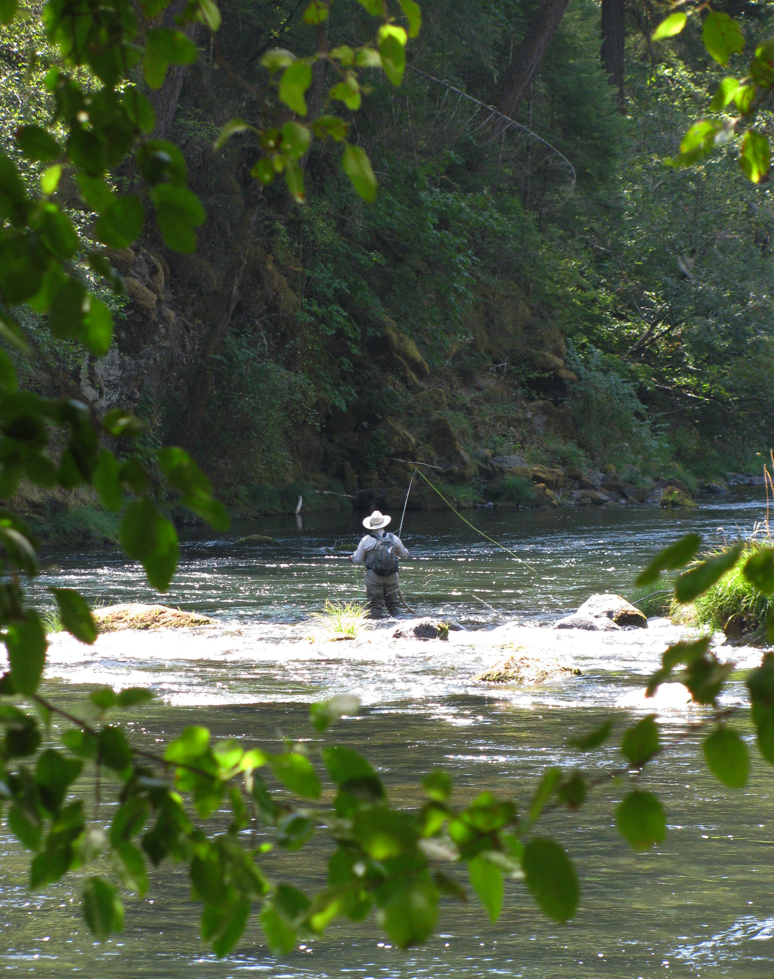 A lone fisherman fly-fishes the North Umpqua Wild and Scenic River.