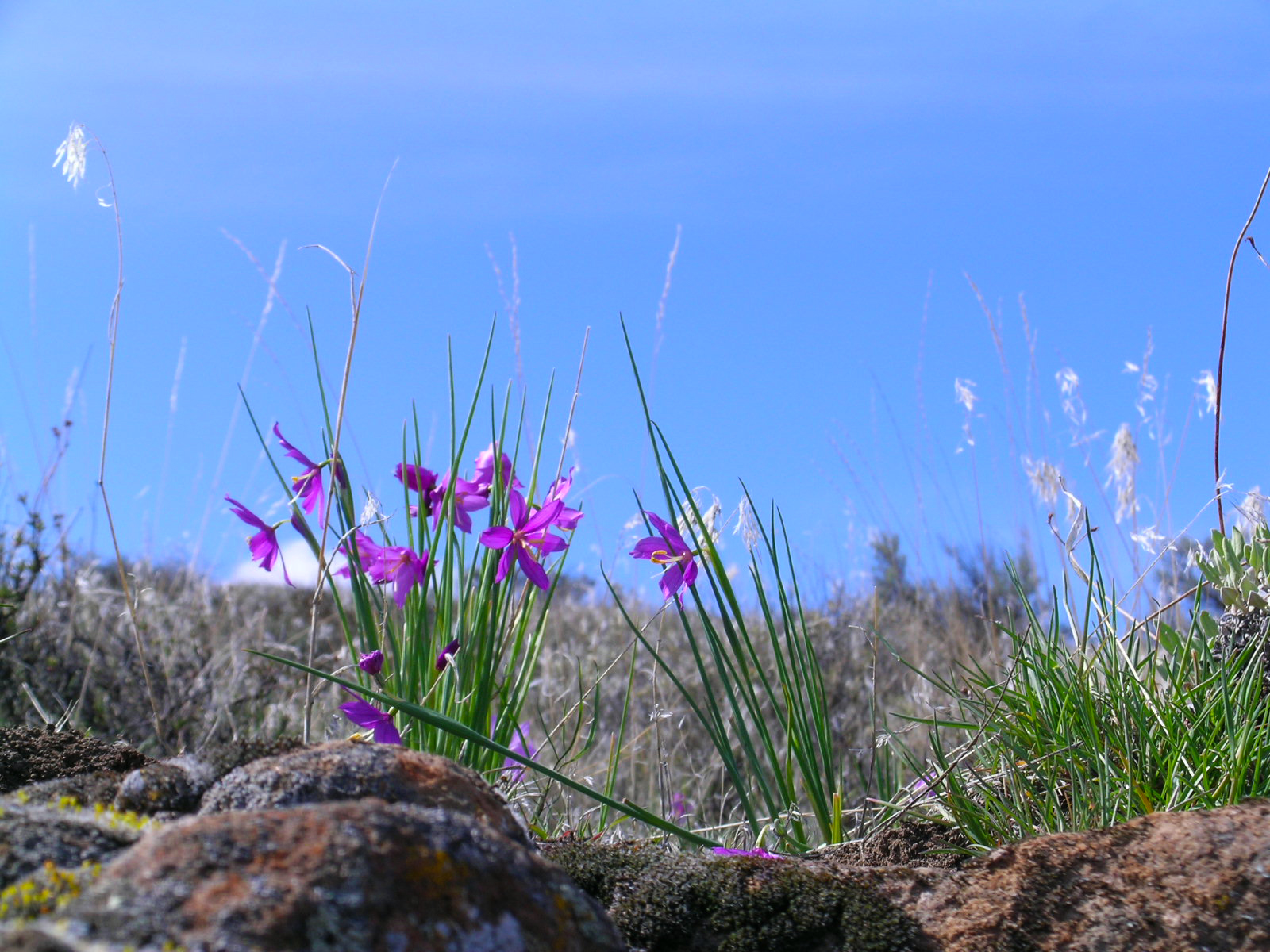 Cowiche Canyon Trail System | Bureau of Land Management