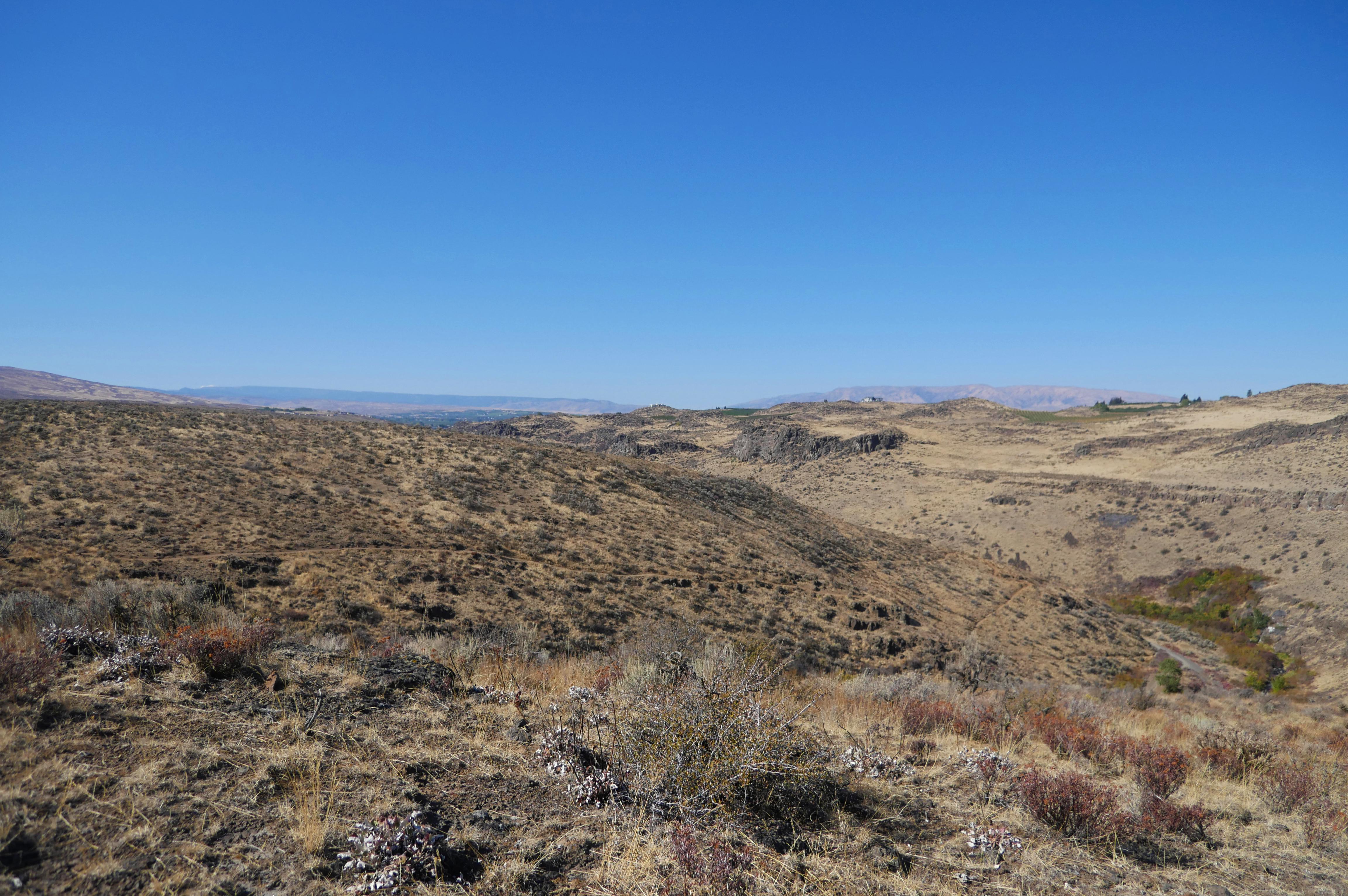 View of the shrub-steppe uplands of Cowiche Canyon Trail System.