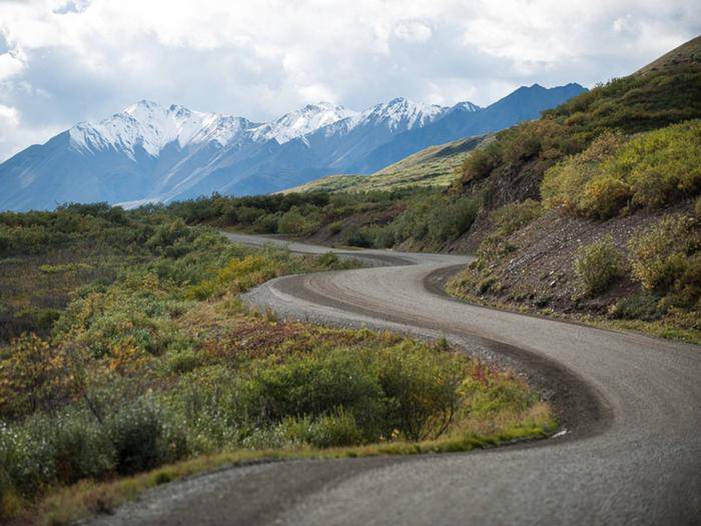 Denali Park Road Timed Entry, Denali National Park & Preserve