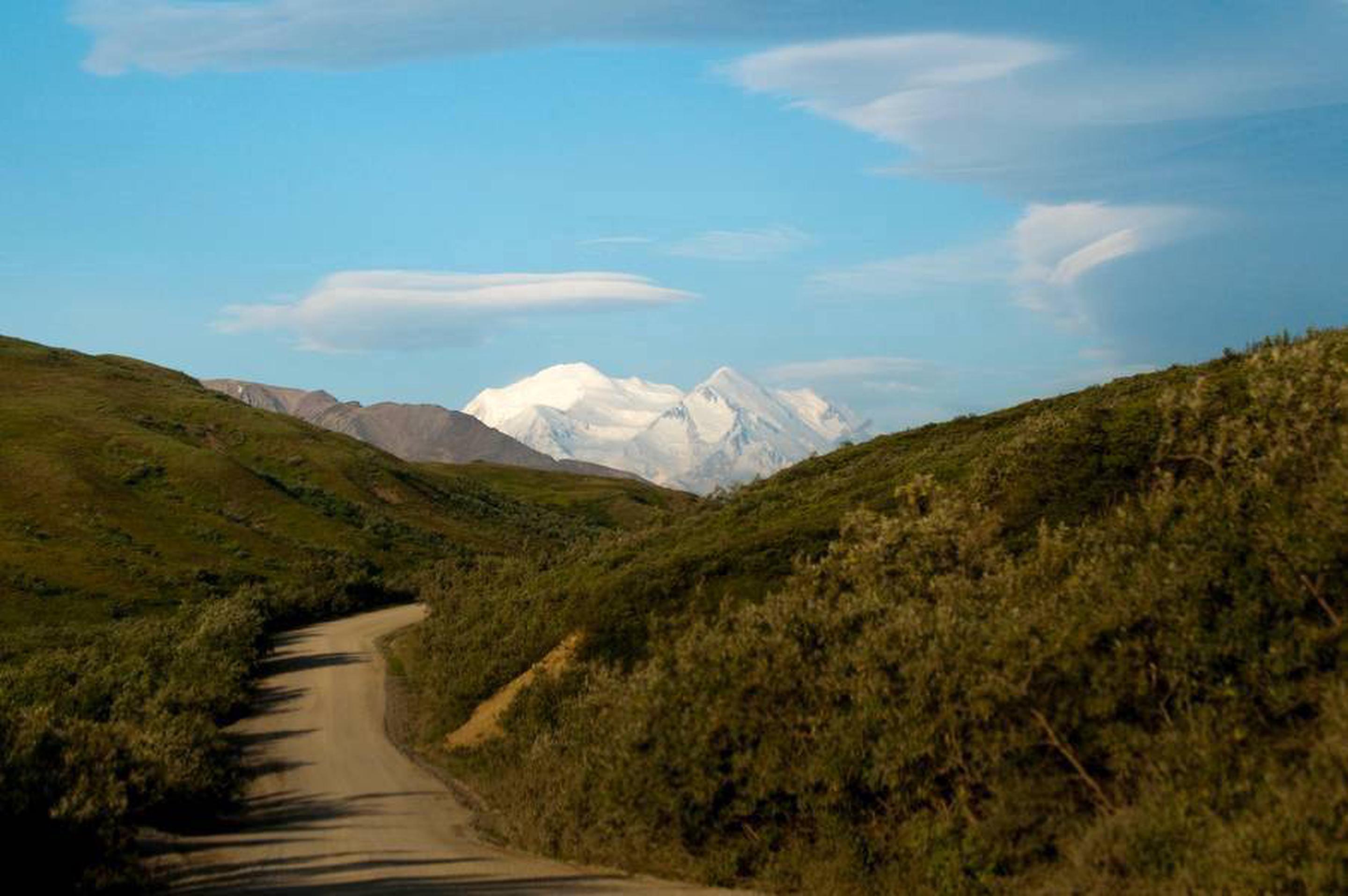 Denali Park Road Timed Entry, Denali National Park & Preserve