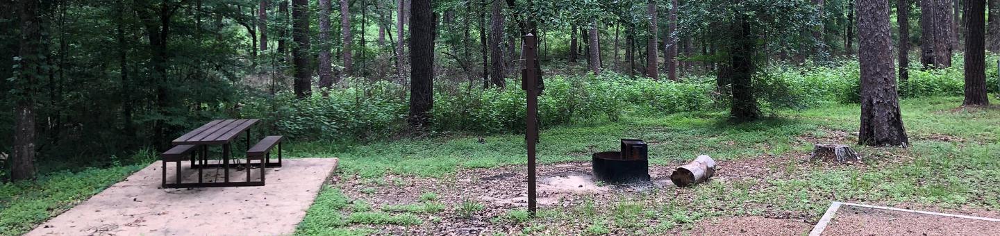Site 7Picnic table and fire ring near the woods