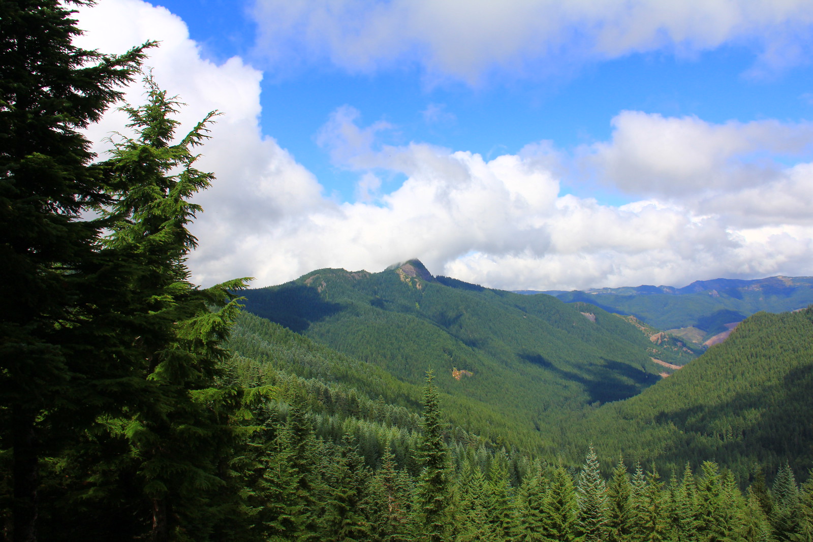 View from Pechuck Lookout.