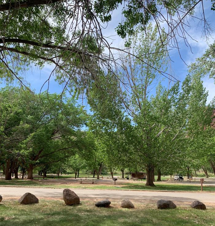 A paved road goes across the center of the image. Placed boulders are in front of the road. Behind the road a picnic table and grill is on a patch of dirt and surrounded by trees.Facing West, Sites 1-18 in Loop A