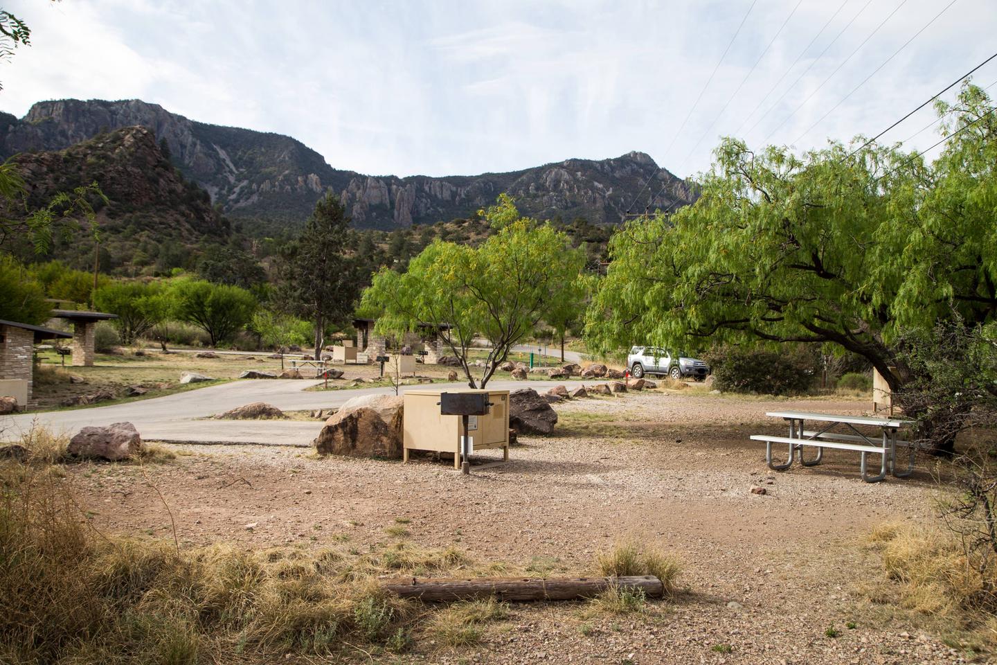 Chisos Basin Campsite #27 overall viewView showing parking area, bear box, grill, and picnic table
