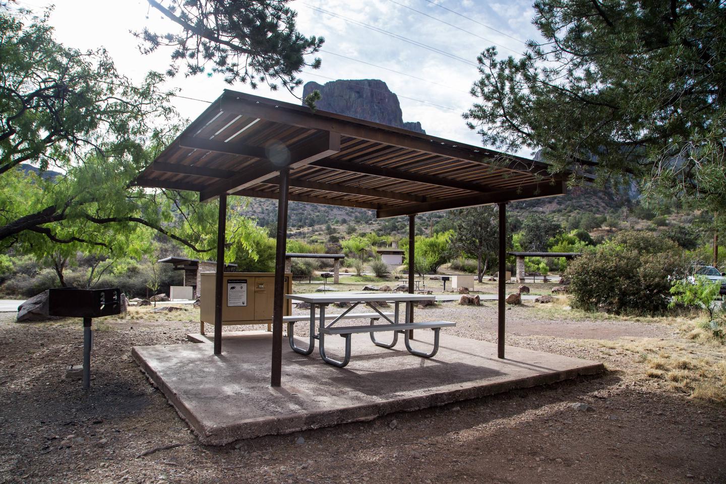 Chisos Basin Campsite #29 shade ramadaView showing shade ramada, grill, bear box, and picnic table