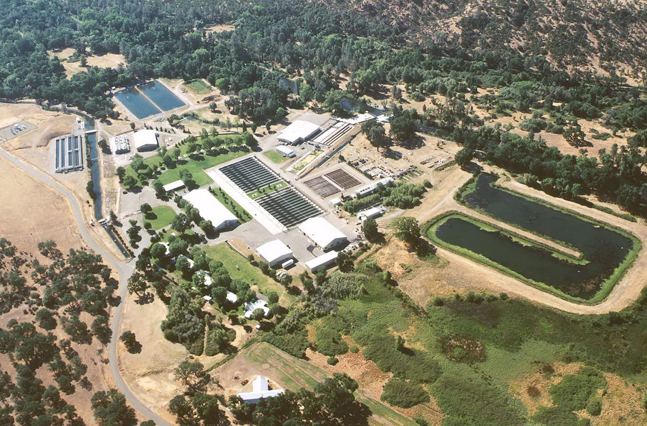 Cover image for Coleman National Fish Hatchery