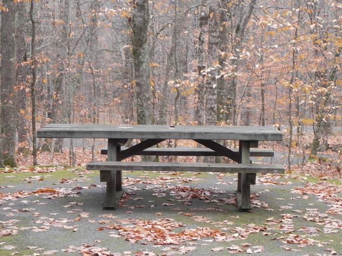 Site 25 DiningPicnic table with handicap seating.