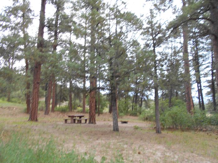 Preview photo of Ute Campground (CO)