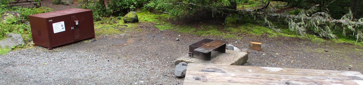 Picnic Table, Fire ring, and Bear boxSite amenities.