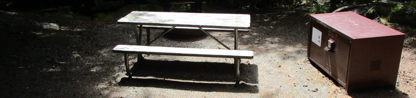 Picnic Table, and Bear BoxSite Amenities